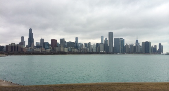 View of Chicago Skyline