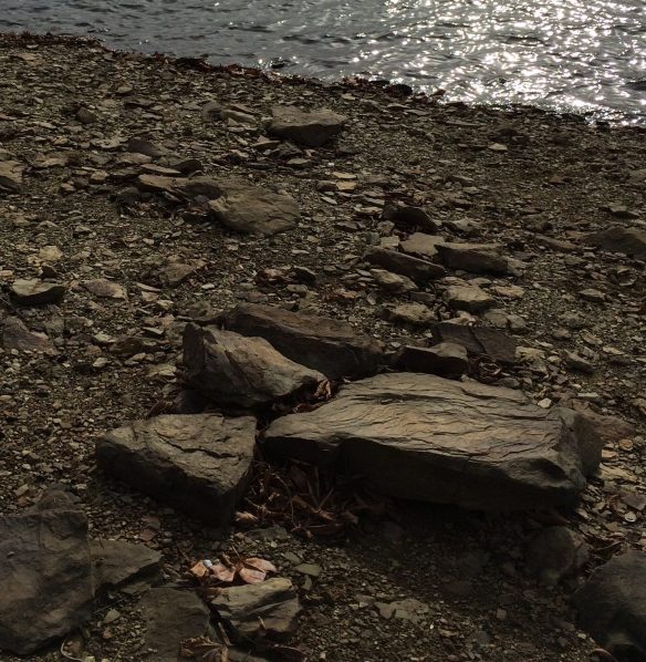 Rocks, pebbles, and sand stretch across the ground along the side of a lake.